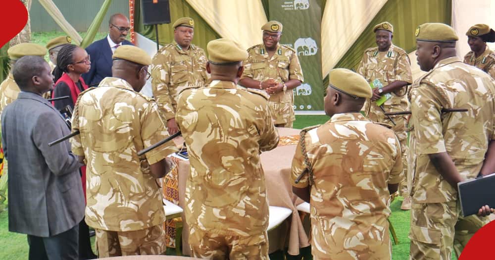 KWS recruiting rangers and cadets.