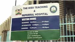 Kisii: Family Embroiled in Land Dispute Pleads for Help to Bury Kin Who Died 6 Years Ago