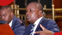 WIlliam Ruto's Ally Tables Bill To Ensure Cases Opposing Gov't Policies Are Determined In 14 Days