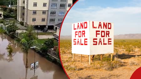 Kenyans Share Best Times to Buy Land as Rains Submerge Houses, Plots: "Suitability of a Location"