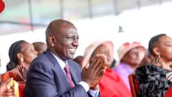 William Ruto Hopes to Raise KSh 400b in 5 Years Through New NSSF Contribution Model