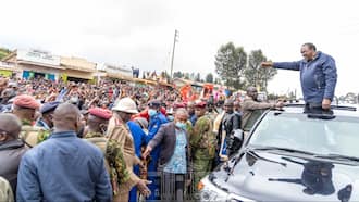 Uhuru to Talk to Mt Kenya in Mother Tongue Tonight as He Woos Locals Behind Raila Odinga