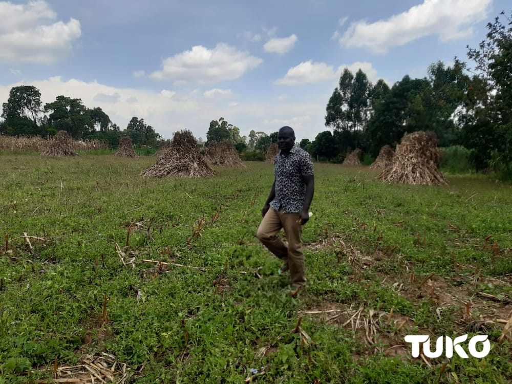 Meet Bungoma MCA who hawked samosas after dropping out of school