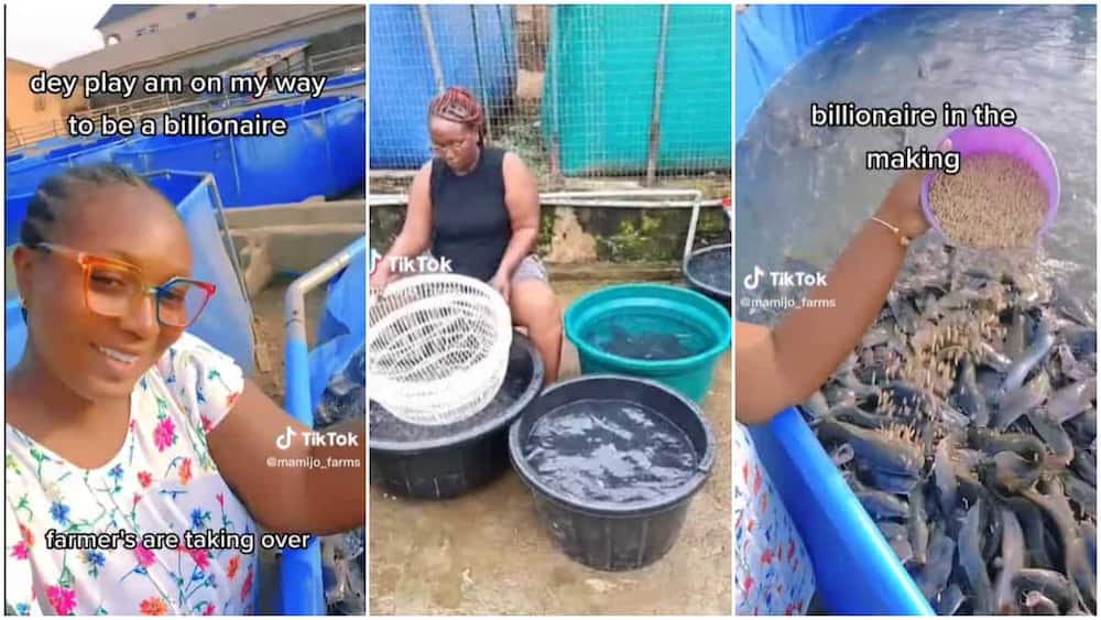 Fish farming in Nigeria/lady shows off her pond.