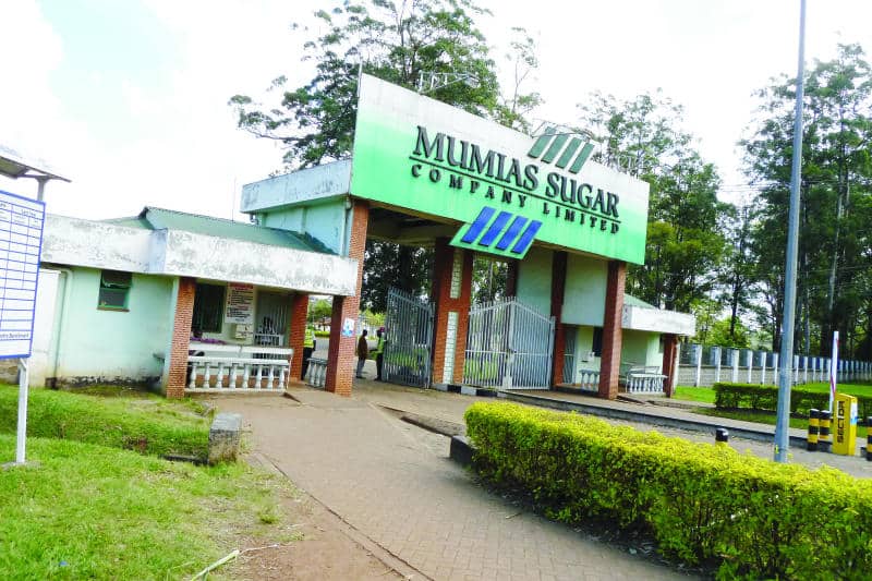 Struggling sugar miller Mumias placed under receivership