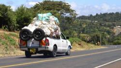 Kenya Miraa Export to Somalia Hits KSh 220m in 4 Days: "We Expect Growth in Volume"