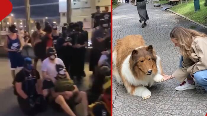 Thousands of People Identifying as Dogs Meet in Germany, Communicate by Barking, Howling