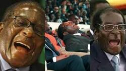 Kauli 6 za Hayati Rais Mugabe Kuhusu Mapenzi Zitakazokuvunja Mbavu kwa Ucheshi