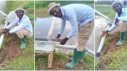 Homa Bay: 24-Year-Old Fish Farmer Invents Solar-Powered Aerator Maximise Returns