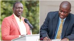 Hustler Fund: 7 Financial Kitties to Be Launched by William Ruto to Boost SMEs