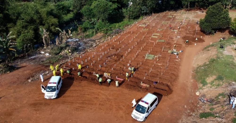 COVID-19: Indonesians caught without masks forced to dig graves for victims