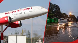 Kenya Airways Advises Travellers to Arrive 4 Hours Before Departure