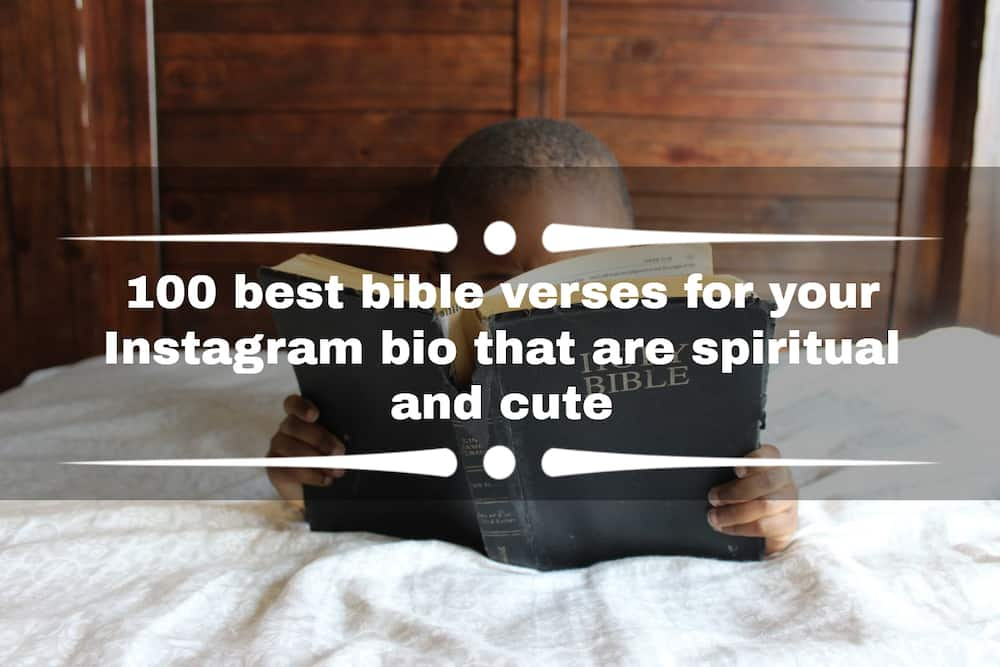 Bible verses for your Instagram bio