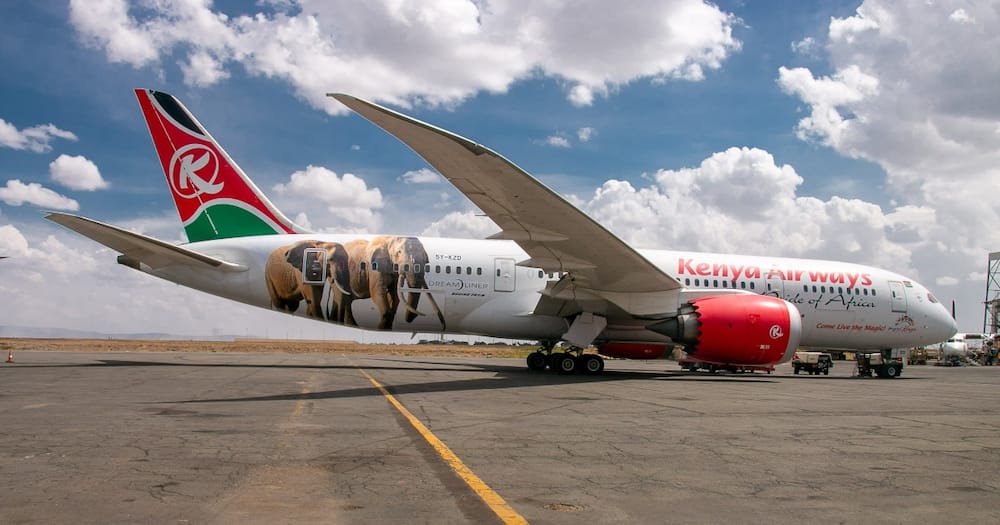 KQ has been urged to address pressing challenges on Nairobi, New York route.