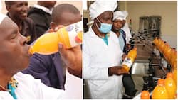 Kivutha Kibwana Inspects First Juice Production in Makueni: "We've Moved a Notch Higher"
