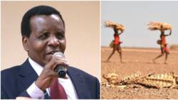 Reuben Kigame Asks Gov't to Buy Maize from North Rift Farmers to Feed Starving Kenyans