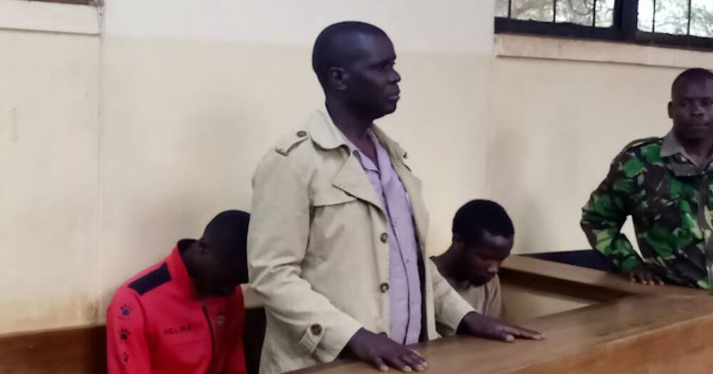 kisii-govt-seeks-to-recover-ksh-3-3m-from-teacher-who-forged-papers-to