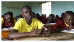Student who Scored 385 Marks in KCPE Requests to Repeat Class 8 Over Lack of Form 1 Fees