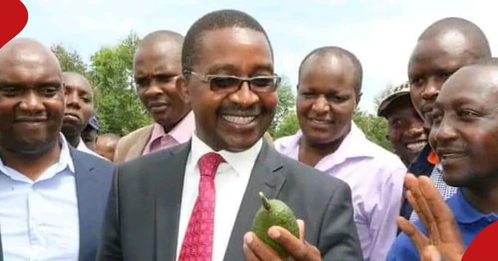 Former Murang'a governor Mwangi Wa Iria at a past forummon avocado production.