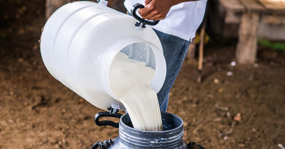 Milk prices rise on higher production costs.