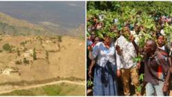Elgeyo Marakwet Leaders Ask Gov't to Deploy Military to Conflict-Torn Kerio Valley