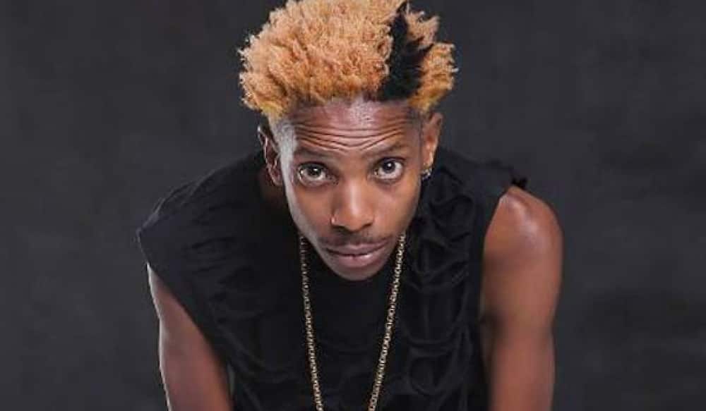 Eric Omondi attempts to become East Africa's Father Abraham in new hilarious video