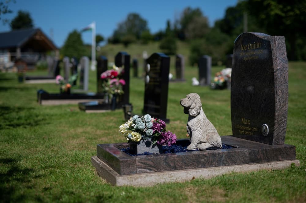 Costs of pet cremations have increased by 10 percent over the last two years