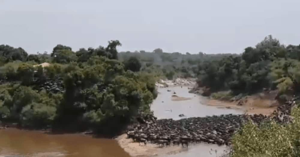 Mara Ngenche: NEMA yafunga kambi ya kutalii katika mbuga ya Maasai Mara