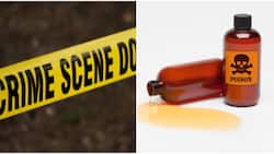 Murang'a Woman Poisons Daughter to Travel for Work in Saudi Arabia after Hubby Rejected Plan