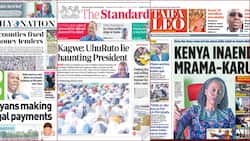 Kenyan Newspapers Review, April 11: Nakuru Widow Loses 2 Sons in Tragic Road Crash