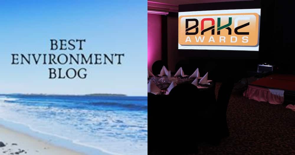 BAKE Awards 2019: Environment Blogs to look out for as voting votinues
