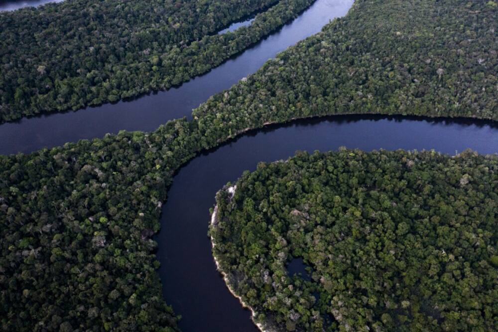 Money for Amazonian research has been dwindling