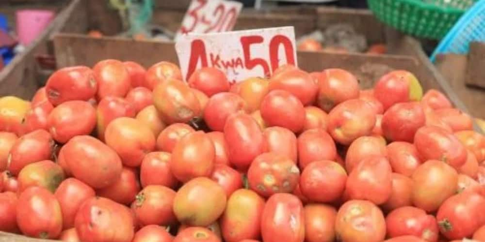 Kajiado: Tomato Prices Rise by Over 50% as Tanzania Retaliates Maize Exportation to Kenya Ban