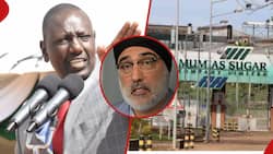 Jaswant Rai: Embattled Sugar Billionaire Withdraws Case against Mumias amid Ruto's Threats