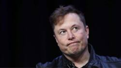 Elon Musk: Mankind Will End With All of Us in Adult Diapers If Global Birthrates Continue to Decline