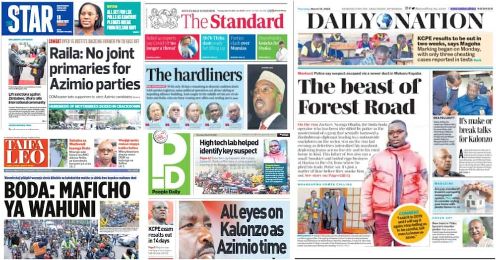 Kenyan newspapers. Photo: Screengrabs from The Standard, Daily Nation, The Star, People Daily and Taifa Leo.