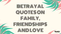 Betrayal quotes on family, friendships and love