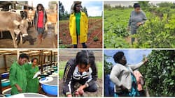 Rosemary Odinga, Wavinya Ndeti and other Kenyan Women Excelling in Agriculture Sector, Feeding the Nation