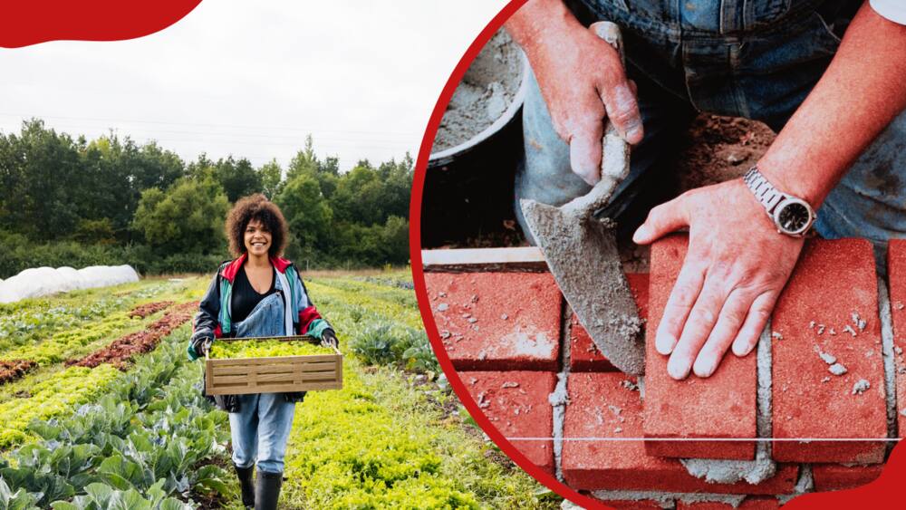 A collage of farmer carrying a crate of vegetables and a construction worker layering bricks