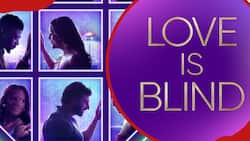 Love Is Blind Season 6 cast profiles, backgrounds, and professions