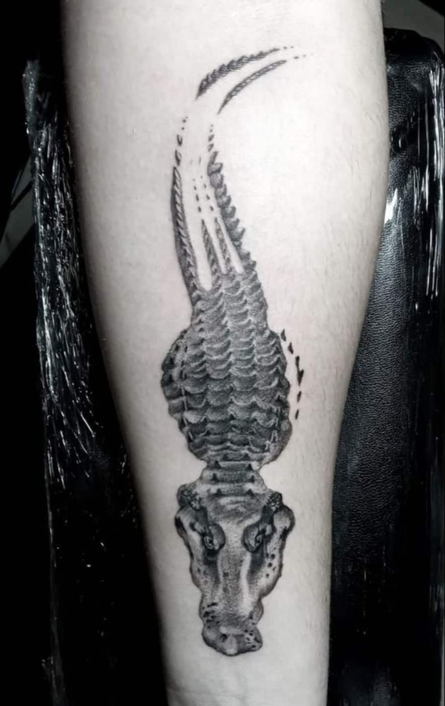Tattoo of Crocodile Strength protection tattoo  custom tattoo designs on  TattooTribescom