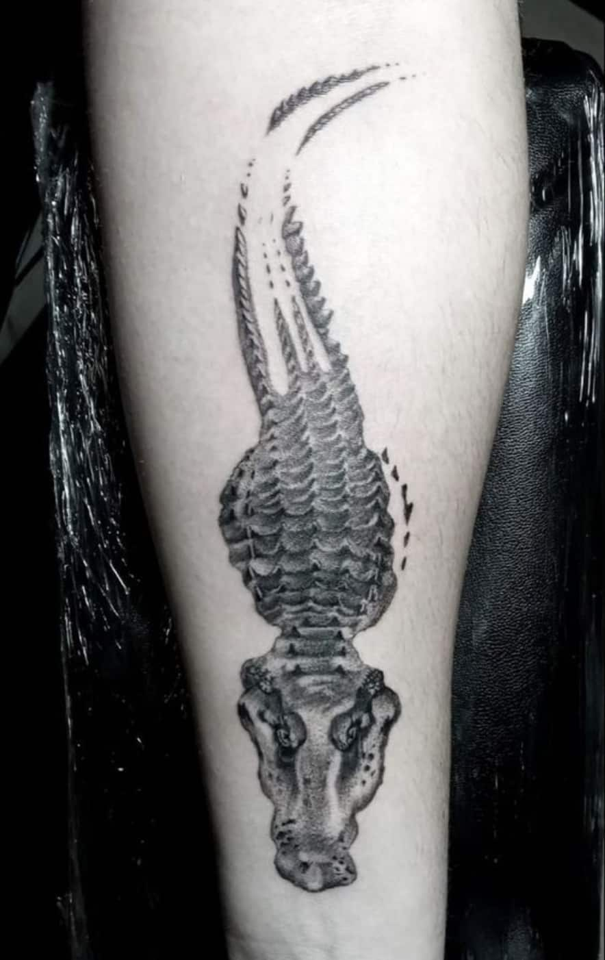 tribal alligator tattoo