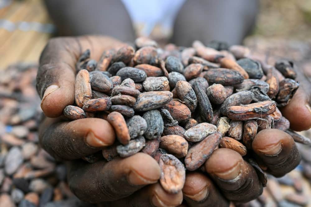 In March, cocoa prices rocketed to more than $10,000 a tonne in New York after a poor harvest in West Africa