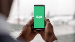 Bolt Warns Drivers Against Overcharging Customers: "We Don't Condone Touting"