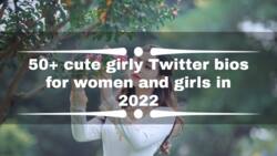 65+ Twitter bios for girls and women: how to write a great bio