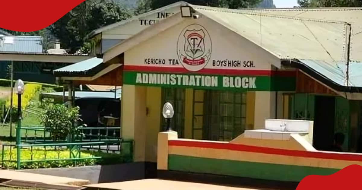 Kericho Tea Boys Go on Strike, Protest Over Corporal Punishment ...