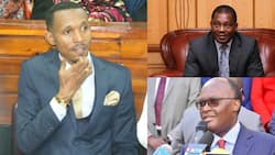 Moha Jicho Pevu's attempt to impeach CS Macharia hits snag as Speaker rejects notice