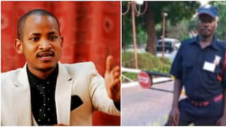 Mombasa Security Guard Pleads With Babu Owino to Help Him Secure Better Job