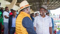 Hilarious Reactions as Raila Odinga Shares Photo Shaking Hands with William Ruto: "Hii Imeenda"