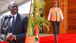 Kenyan Engineer Blasts State House for Giving William Ruto Firefighter Helmet: "He's Under Fire"